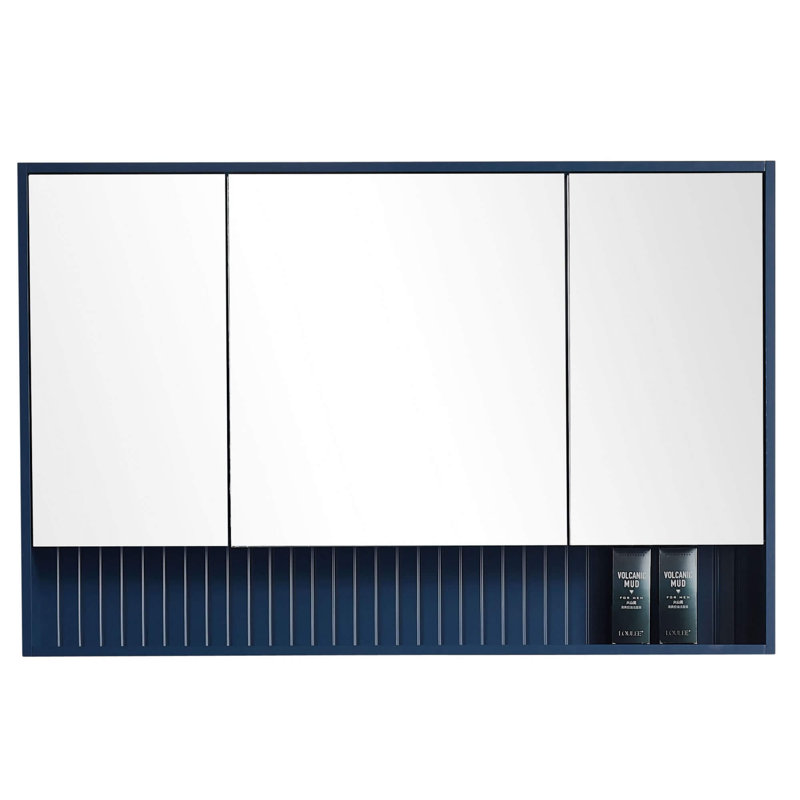 Latitude Run® Asahel Surface Mount Framed Medicine 3 Doors